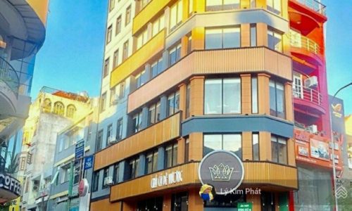 Bán biệt thự khang hiếm đường Nguyễn Chí Thanh, P. 9, Q. 5. DT 8x20m 4 lầu thang máy, giá 31 tỷ