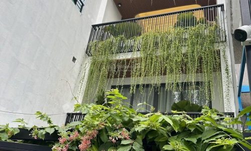 Nhà mới bán gấp DT 51,6m2 – tại đường Vĩnh Khánh, Phường 8, Quận 4