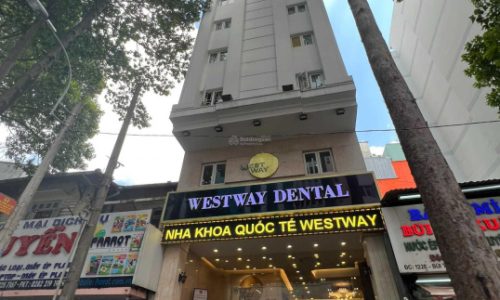 Siêu hiếm! Bán tòa nhà đối diện bệnh viện Chợ Rẫy Thuận Kiều DT: 8×16 5 lầu