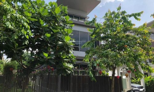 Siêu phẩm 2MT Nguyễn Cư Trinh – Trần Đình Xu DT: 10 x 30m – XD: 1 hầm 7 tầng giá chỉ 45 tỷ