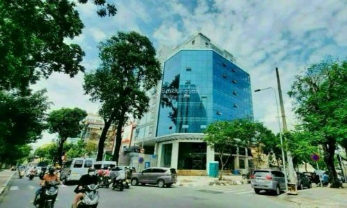 Building văn phòng VIP góc 2 mặt tiền Đường Nguyễn Trãi & Nguyễn Cảnh Chân, Q. 1
