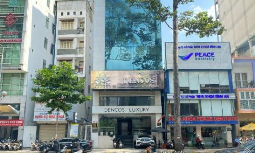 Siêu phẩm, tòa nhà 6 tầng mặt tiền Trần Hưng Đạo (9mx20m), vị trí đẹp, HĐ thuê 250tr/th, giá 58 tỷ