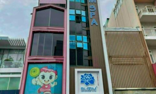 Bán gấp nhà 4x19m mặt tiền Tản Đà ngay Trần Hưng Đạo P.10 Q.5, kết cấu 5 lầu giá chỉ 21 tỷ TL