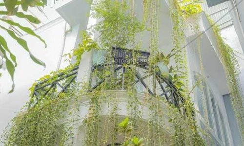 Sở hửu biệt thự mini gần Huỳnh Văn Bánh, sát Quận 3, 57m2, 3 tầng, 8 tỷ, khu nhiều người nước ngoài