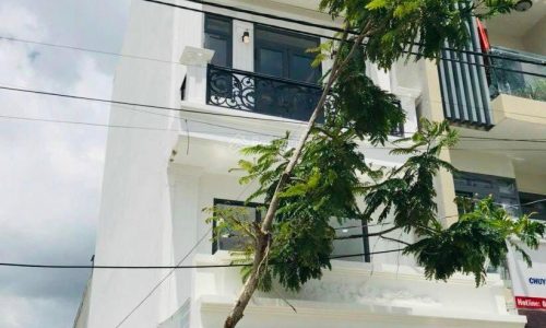 Bán gấp căn nhà Diện tích 187m2 Giá 3ty9 ở Nguyễn Duy Trinh, phường Long Trường, TP Thủ Đức